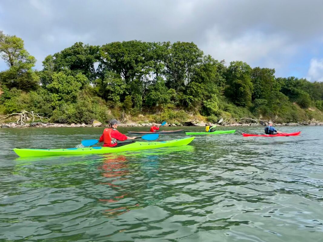 IPP2 kajakkursus havkajak Feddet v. Faxe