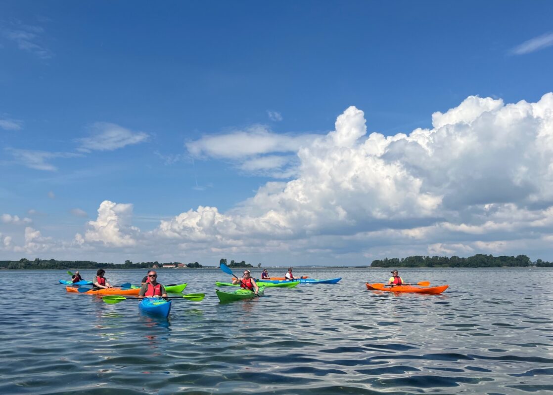 IPP2 kajakkursus havkajak Horsens
